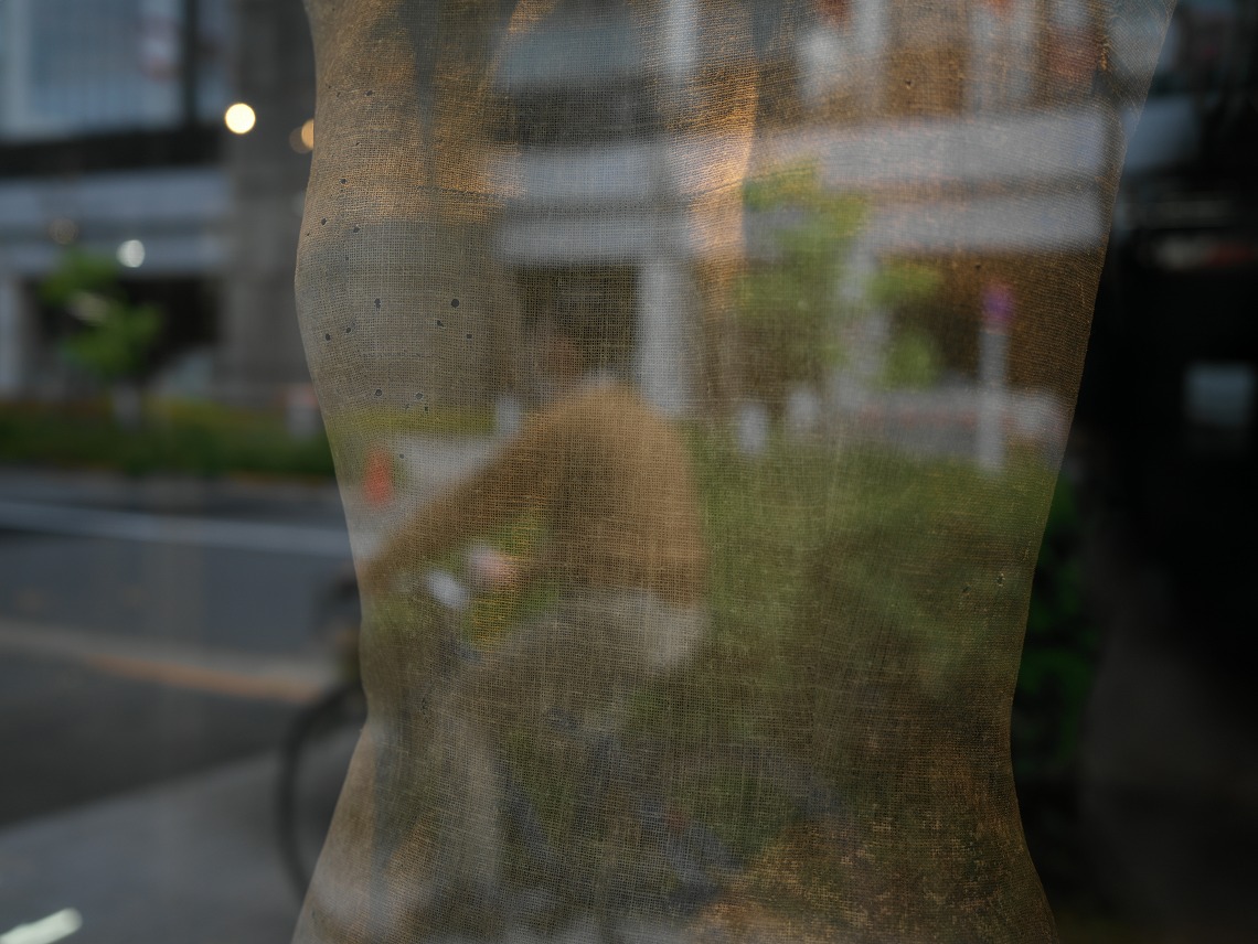 X1D II 50C_�V���[�E�B���h�E