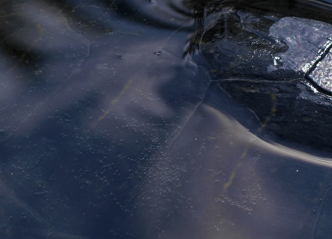 X1D II 50C_�b���̋C�A