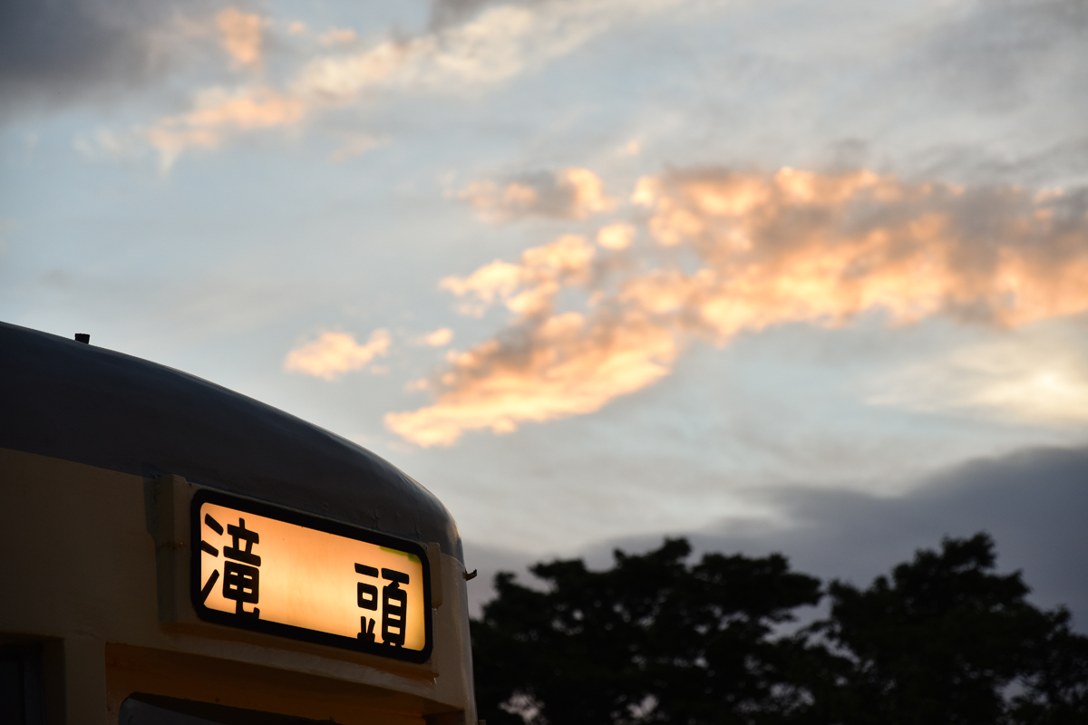 Nikon�i�j�R���j�@AF-S DX Nikkor 16-80mm f/2.8-4E ED VR ���摜 04