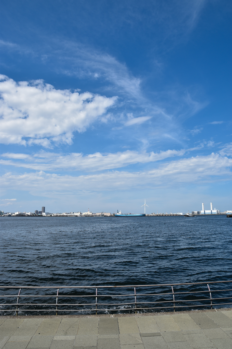 Nikon�i�j�R���j�@AF-S DX Nikkor 16-80mm f/2.8-4E ED VR ���摜 08