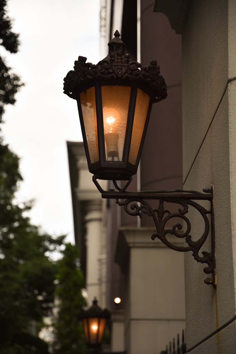 Nikon�i�j�R���j�@AF-S DX Nikkor 16-80mm f/2.8-4E ED VR ���摜 09