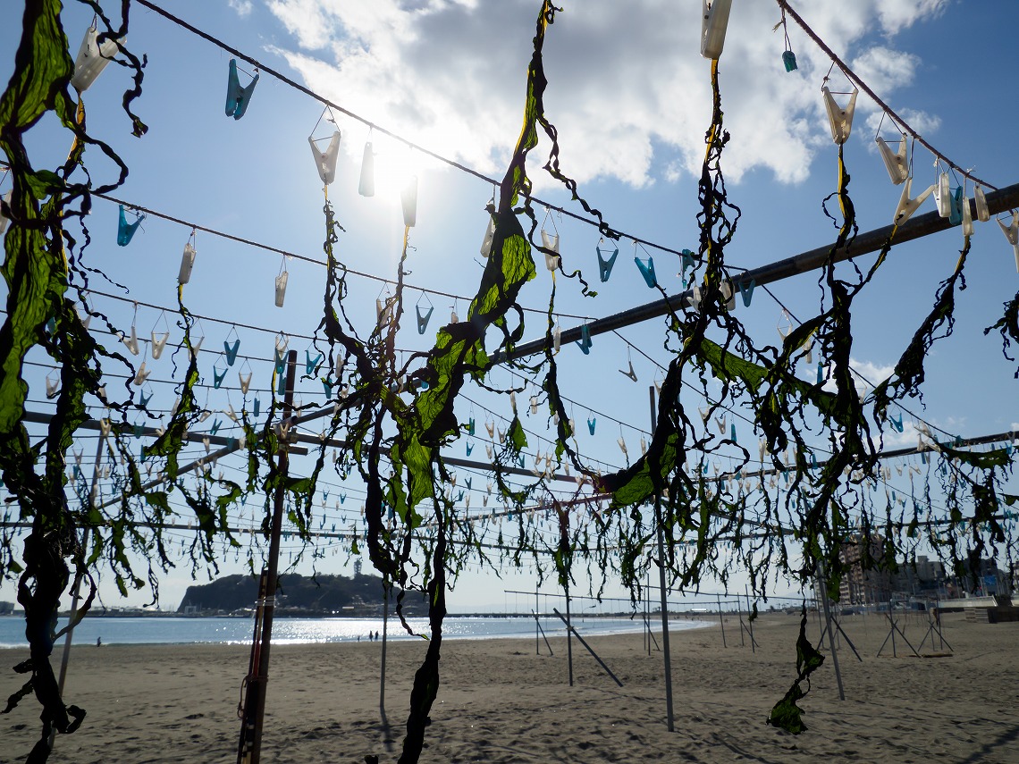 �I�����p�X_ED12200_�킩��_����