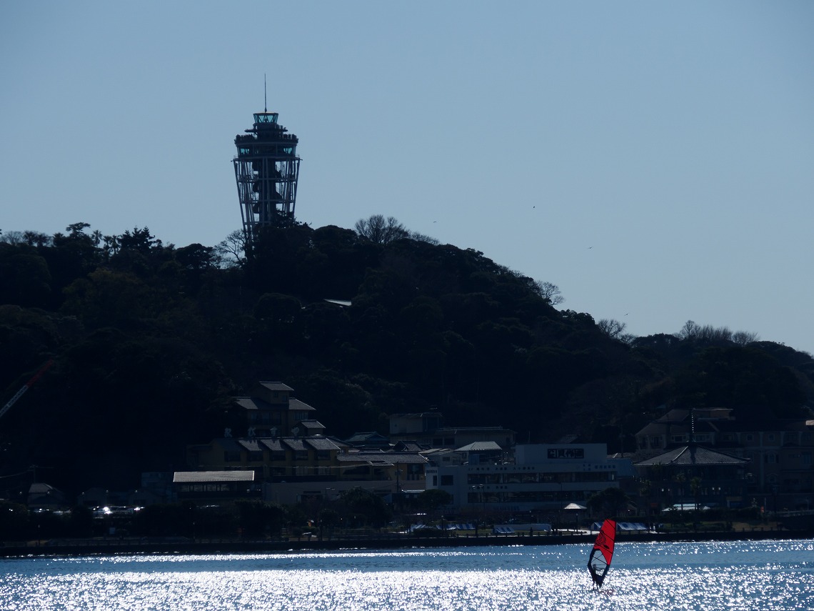 �I�����p�X_ED12200_�C_���b�g