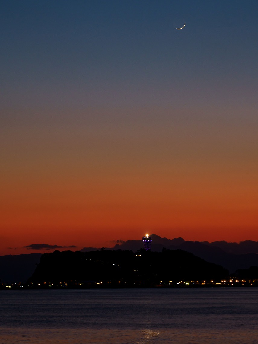 �I�����p�X_ED12200_�C��_�O���f�[�V����