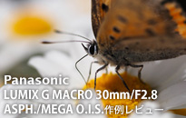 パナソニック LUMIX G MACRO 30mm F2.8 ASPH. MEGA O.I.S.