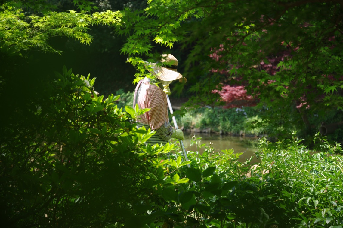 PENTAX K-1 Mark II作例 06