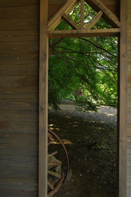 PENTAX K-1 Mark II作例 07