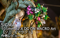 SIGMA 105mm F2.8 DG DN MACRO Art