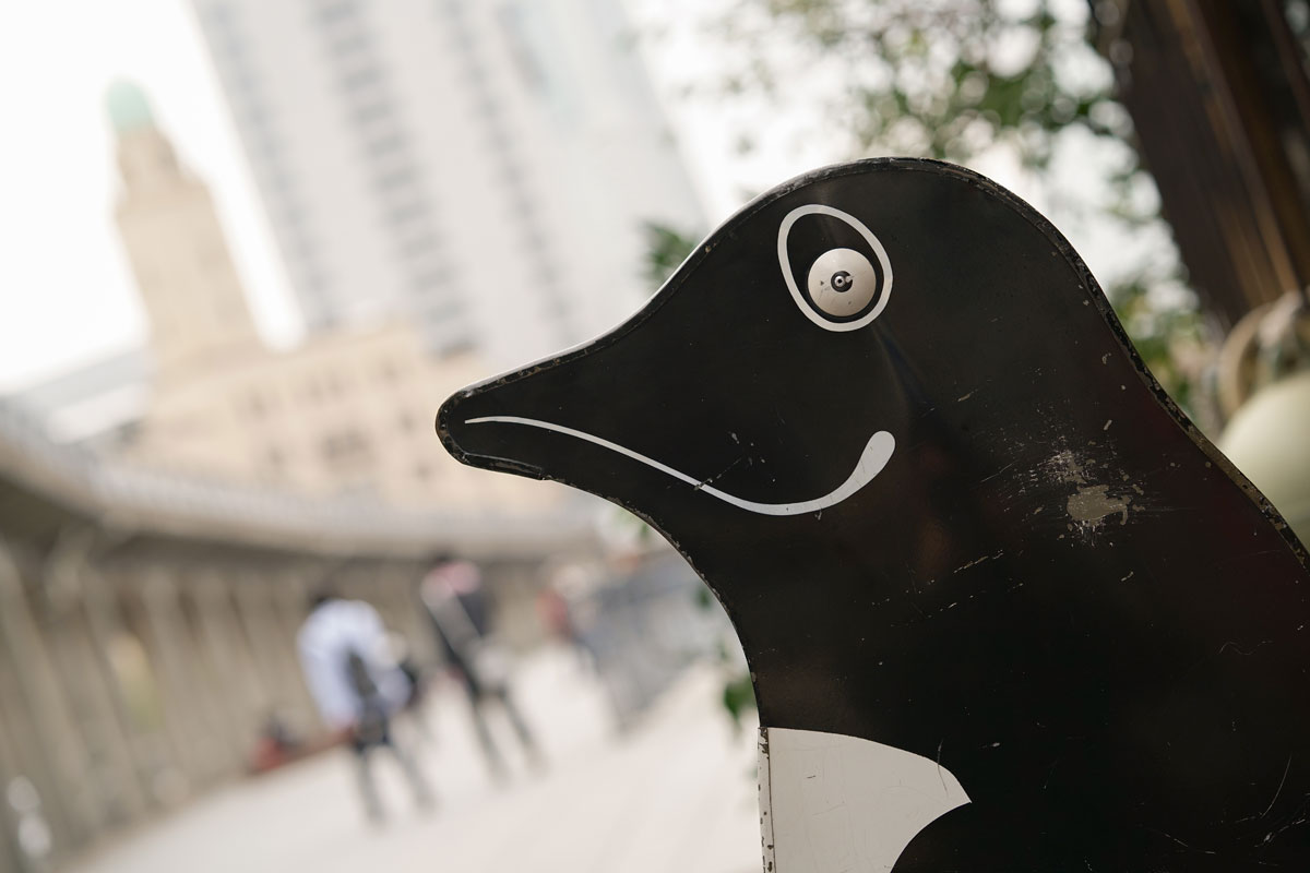 ���������Y�@FE 85mm F1.4 GM�y�\�j�[E�}�E���g�z ���摜 03