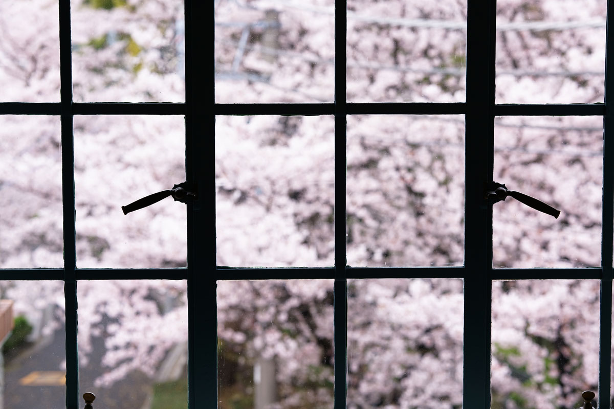 ���������Y�@FE 85mm F1.4 GM�y�\�j�[E�}�E���g�z ���摜 05