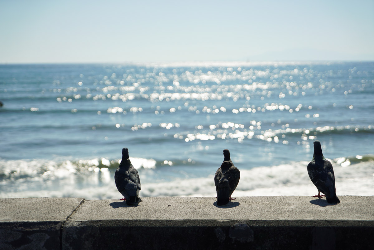 �\�j�[ ��7S II ILCE-7SM2 ���摜 07