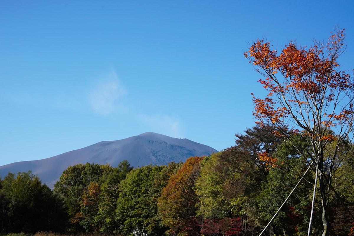 �\�j�[ ��7S II ILCE-7SM2 ���摜 10