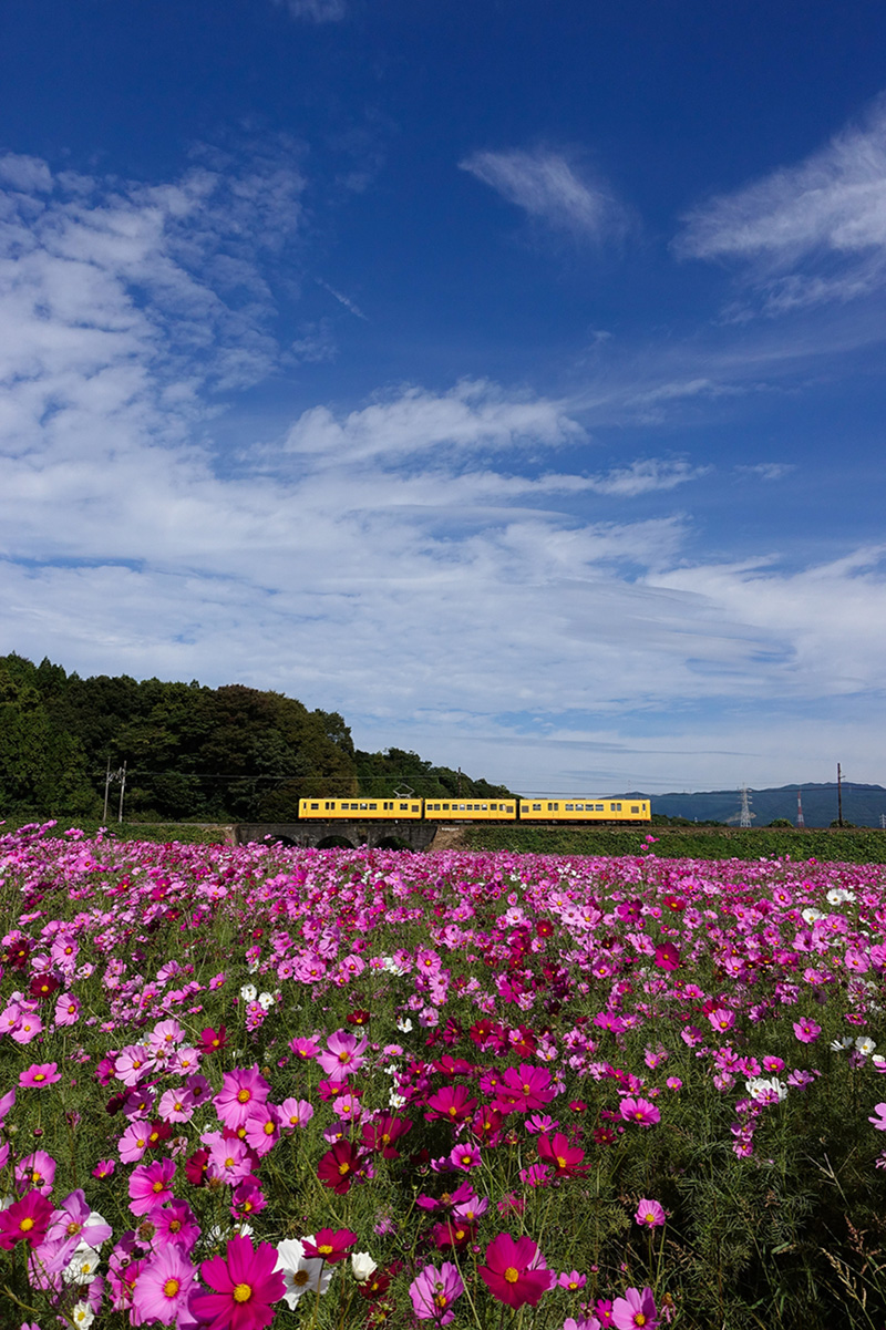 �\�j�[ �R���p�N�g�f�W�^���J���� Cyber-shot�@DSC-RX100M5�@���ʃ��|�[�g