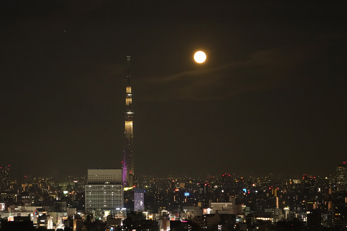 �\�j�[�@�T�C�o�[�V���b�g�@DSC-RX10M2���� 07