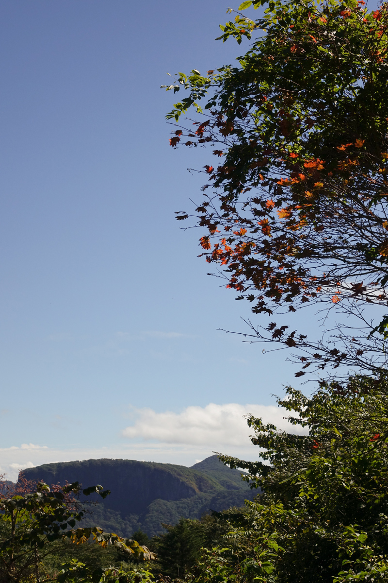 �\�j�[�@�T�C�o�[�V���b�g�@DSC-RX10M2���� 08