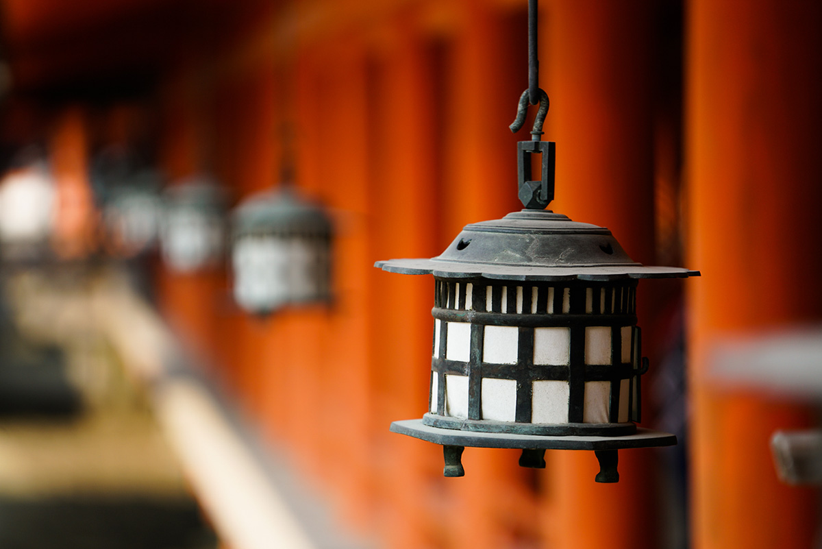 �\�j�[ ���������Y�@FE 70-200mm F2.8 GM OSS�y�\�j�[E�}�E���g�z�@���ʃ��|�[�g