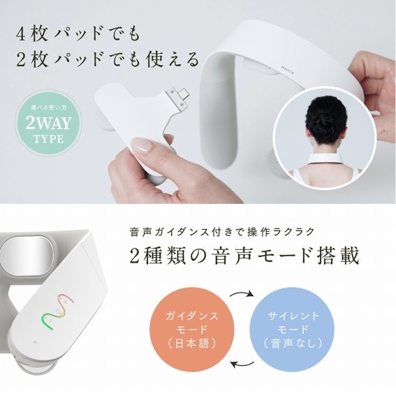 2��ނ̉������[�h����