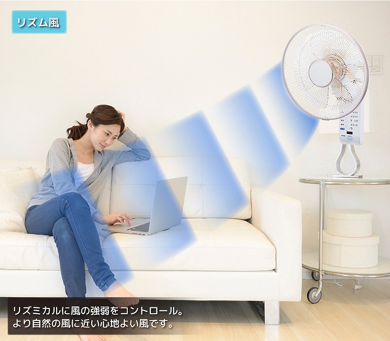 ���R�̕��̂悤�ȁu���Y�����v