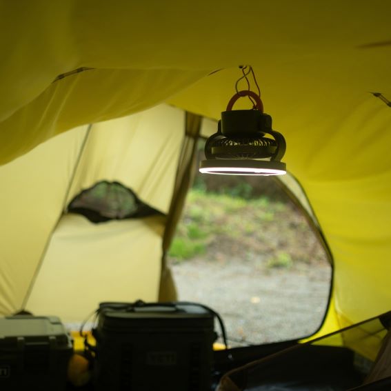 �e���g���̏Ɩ��{��C���z��