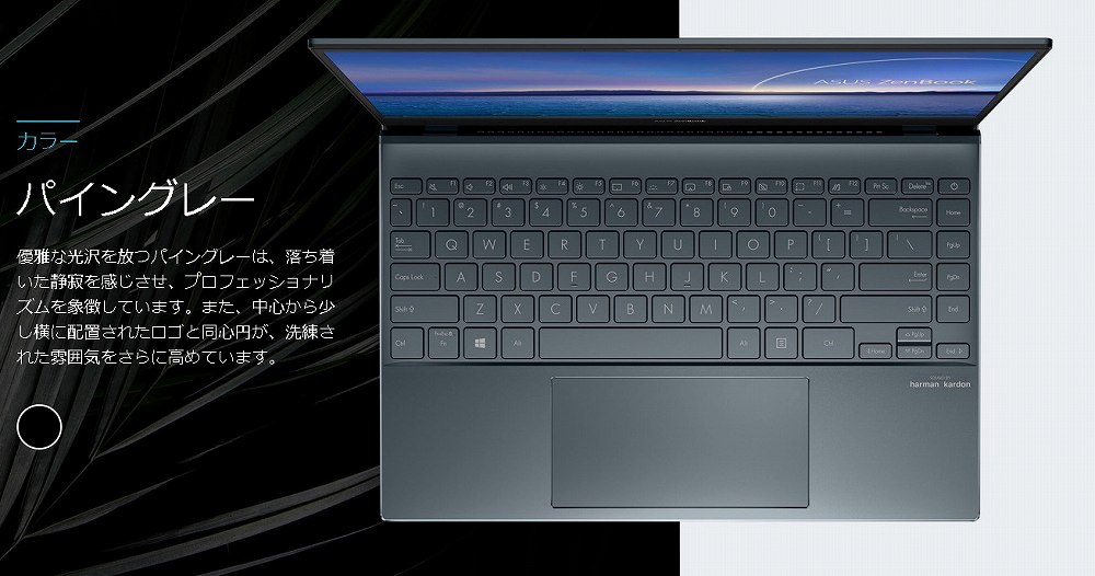 �D��Ȍ������p�C���O���[�͗�������������