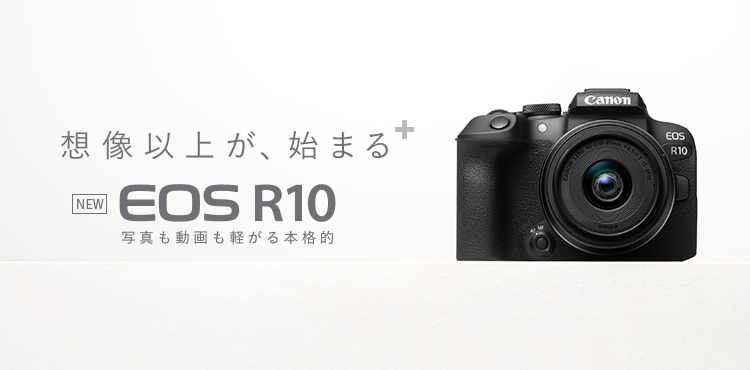 https://www.biccamera.com/goods/10177419/product_01.jpg
