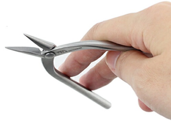 ���킦���i��[�j�ɃM�U���Ȃ��`��