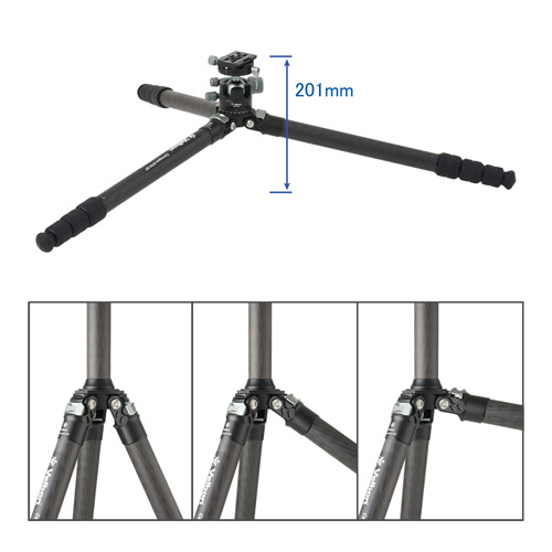 ���[�|�W�V�����Ή�