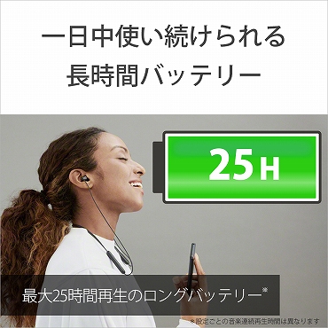 https://www.biccamera.com/goods/10211474/product_01.jpg