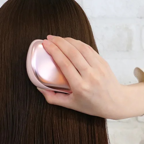 ���ւ̕��S���ŏ����ɗ}����