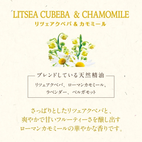 ���c�F�A�N�x�o���J���~�[��