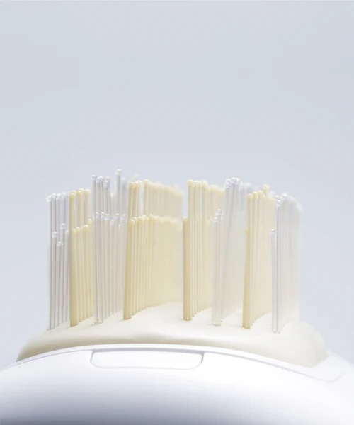 �Z���s�������̍L�����}���āA�����s�����ь�����������o��