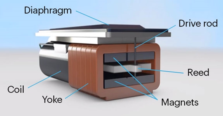 Knowles��BA�h���C�o�[���̗p