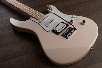 ���C�v���w���f�������C���A�b�v(PAC112VM/VMX)