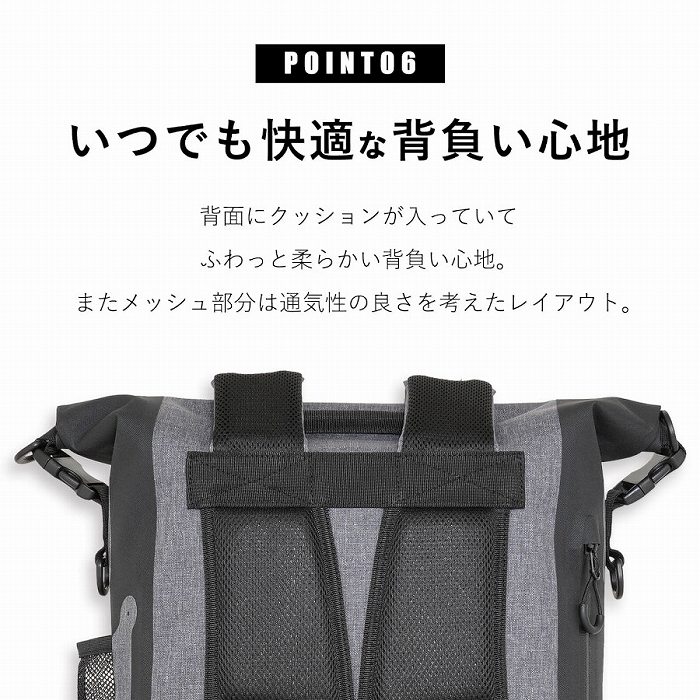 ���ł����K�Ȕw�����S�n