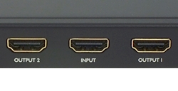 �T�r�ɋ��������b�L�R�l�N�^�[���̗p