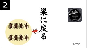 �R���o�b�g�̒��̃G�T��H�ׂ��S�L�u���́A���Ԃ����鑃�ɖ߂��Ď��ɂ܂��B