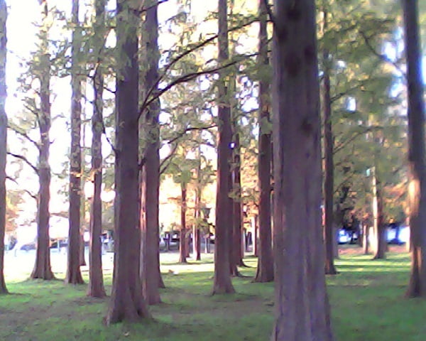 Pieni�i�s�G�j�j���