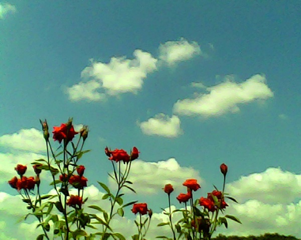 Pieni�i�s�G�j�j���