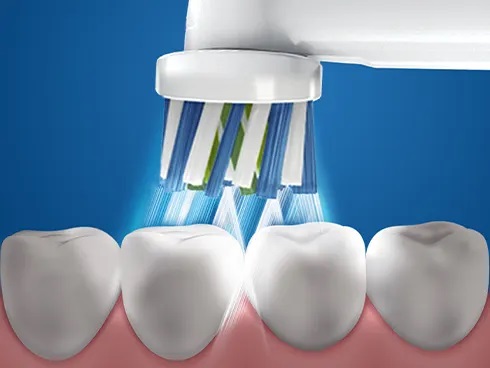 16�x�ɌX�΂����u���V�����Ǝ��̊Ԃ܂Ŏ��C������