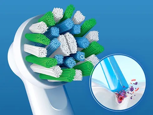 X�t�B�������g�𓋍�