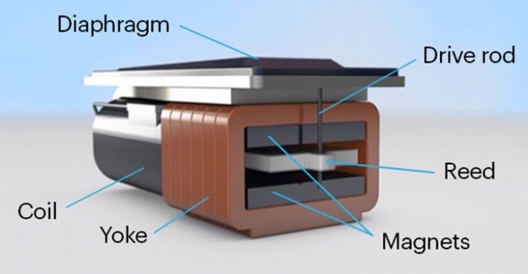 ��Knowles��BA�h���C�o�[���̗p