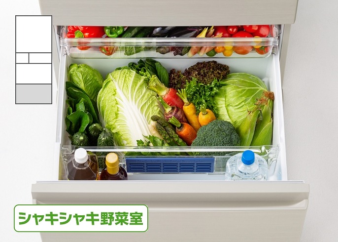 �m�V���L�V���L��؎���3�n