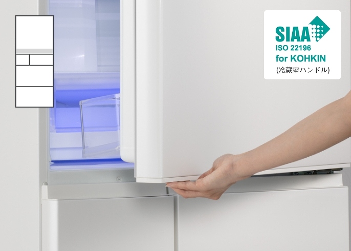 NEW �m�R�ۃn���h����6�n