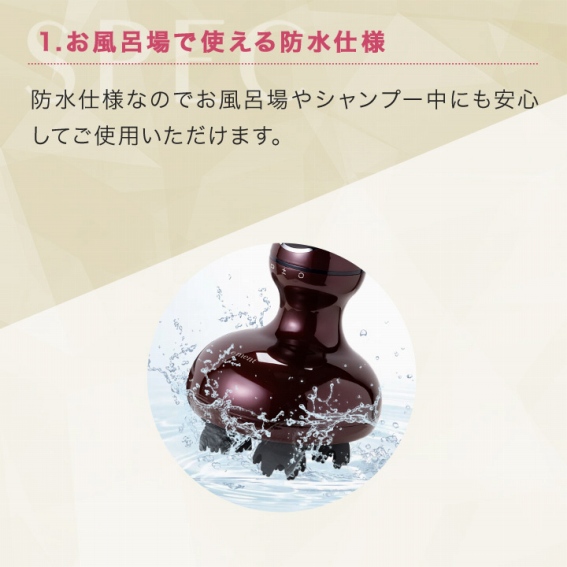 �����C��Ŏg����h���d�l