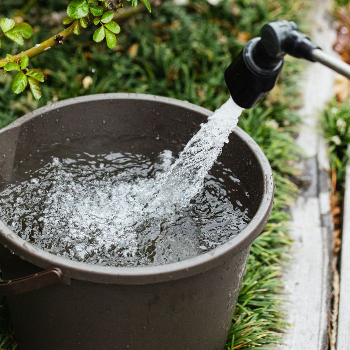 ������юU��ɂ������`���I�ׂ�