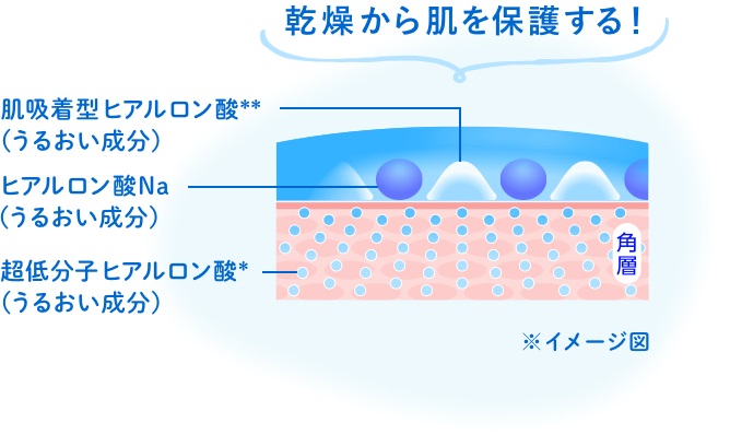 3��̃q�A�������_�i���邨�������j�z�� �ې������I