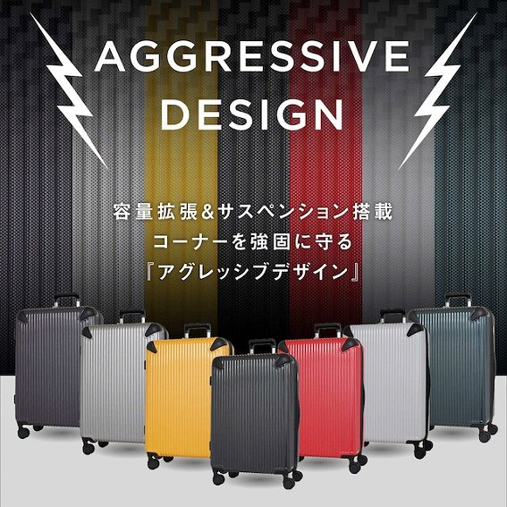 �y�T�X�y���V���� �L�����[�P�[�X TSA���b�N���ځz�e�ʊg��&�T�X�y���V��������