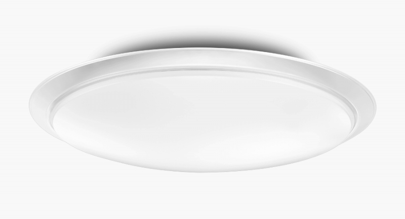 �V���v���f�U�C���i�g�t�^�C�v�j