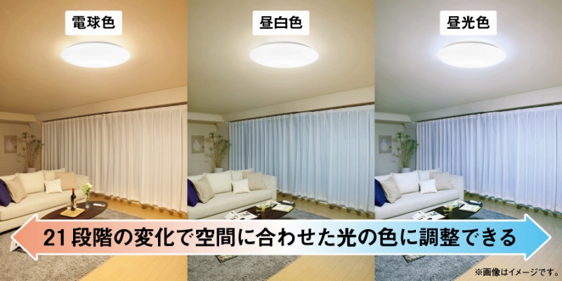 21�i�K�̌��F���������钲�F�@�\