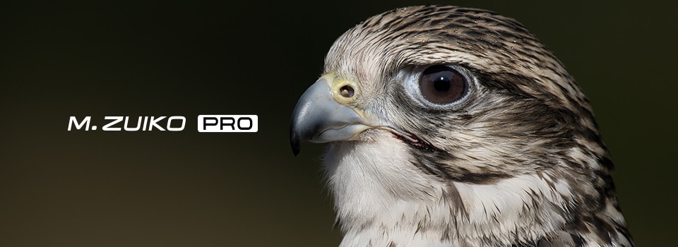 1000mm����[1]�ł̎莝���B�e���\�ɂ��钴�]��PRO�����Y